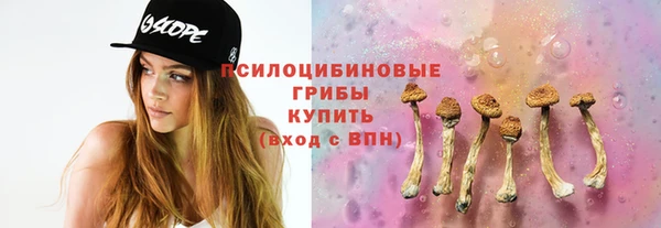 дурь Краснотурьинск
